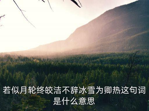 若似月輪終皎潔，若似月輪終皎潔不辭冰雪為卿熱這句詞是什么意思啊