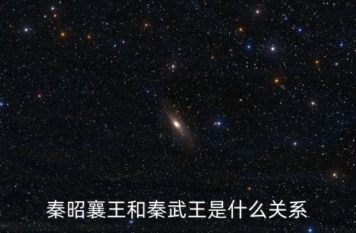 秦昭襄王和秦武王是什么關(guān)系