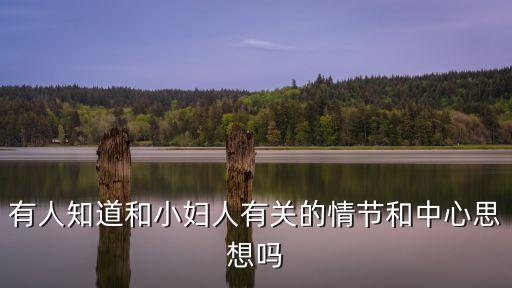 有人知道和小婦人有關(guān)的情節(jié)和中心思想嗎