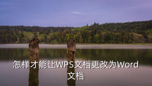 怎樣才能讓W(xué)PS文檔更改為Word文檔