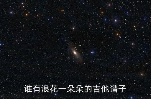 誰有浪花一朵朵的吉他譜子