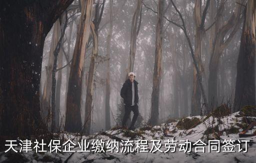 天津社保企業繳納流程及勞動合同簽訂