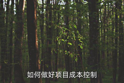如何做好項(xiàng)目成本控制