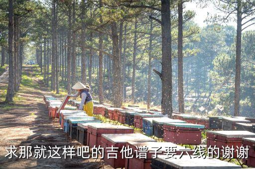 求那就這樣吧的吉他譜子要六線的謝謝