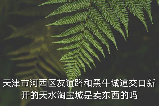 天津市天水淘寶城是賣高仿嗎，天津市哪個地方有賣高仿籃球鞋或是板鞋的