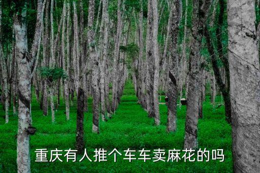 天津市郊車牌照，成都有人推個車車賣麻花的嗎