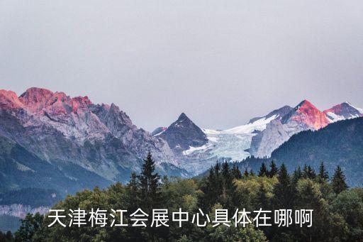 天津梅江會展中心具體在哪啊