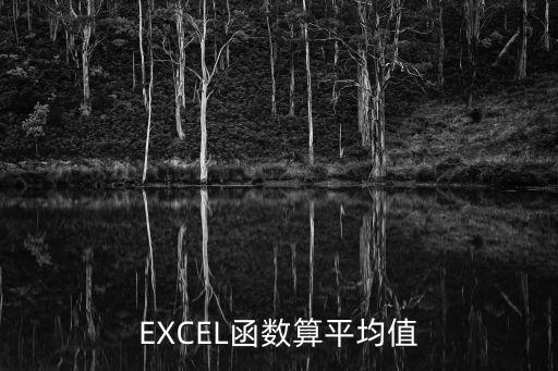 EXCEL函數(shù)算平均值