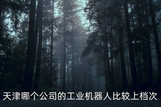 天津市做工業(yè)機器人的公司，天津哪個公司的工業(yè)機器人比較上檔次