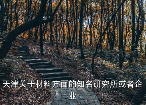 天津市工具研究，天津關于材料方面的知名研究所或者企業