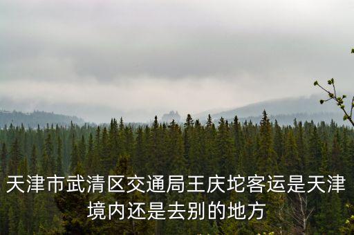 天津市五清區(qū)王慶坨鎮(zhèn)，王慶坨的郵編號