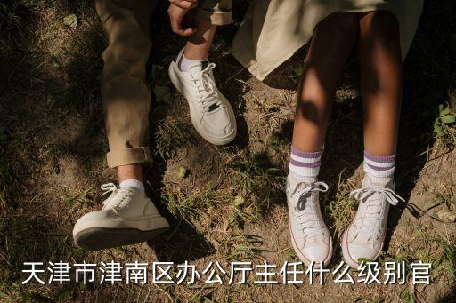 天津市政府服務(wù)辦公室主任，天津市津南區(qū)辦公廳主任什么級別官