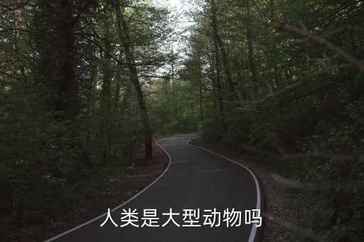 人類是大型動物嗎
