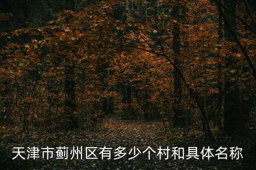 天津市薊州區(qū)有多少個村和具體名稱