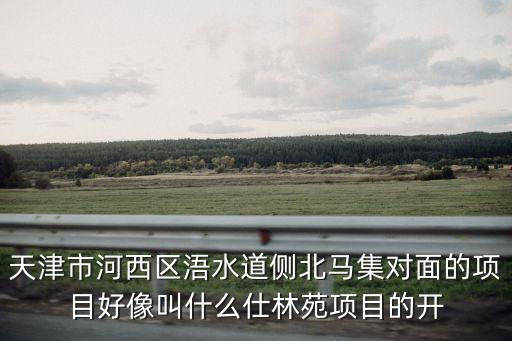 天津市河西區(qū)浯水道側(cè)北馬集對(duì)面的項(xiàng)目好像叫什么仕林苑項(xiàng)目的開