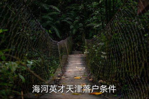 海河英才天津落戶條件