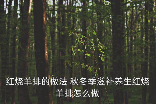 紅燒羊排的做法 秋冬季滋補(bǔ)養(yǎng)生紅燒羊排怎么做