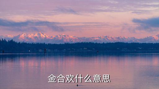 金合歡什么意思
