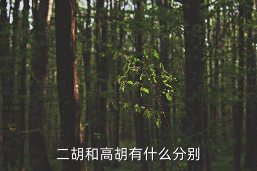 高胡與二胡的區別，高胡的演奏和二胡演奏的區別看譜定弦