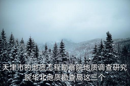 天津市的地質工程勘察院地質調查研究院華北地質勘查局這三個