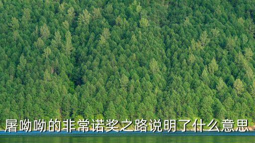 屠呦呦的非常諾獎之路說明了什么意思