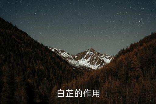白芷性味歸經(jīng)，白芷是什么有什么用