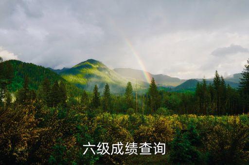 六級(jí)成績(jī)查詢(xún)