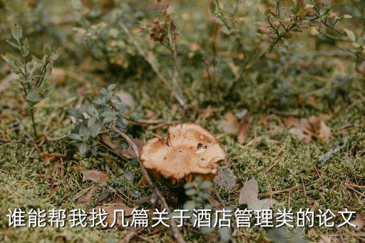 酒店管理論文，論酒店管理的認識