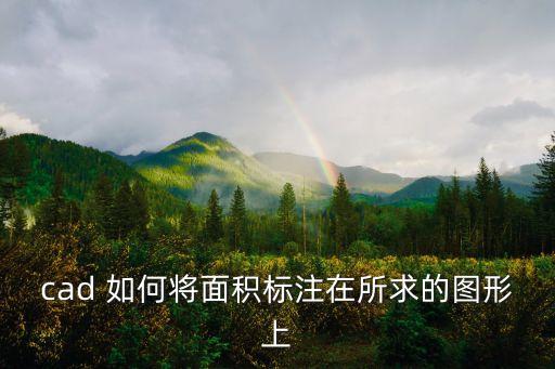 cad 如何將面積標注在所求的圖形上