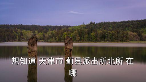 想知道 天津市 薊縣派出所北所 在哪