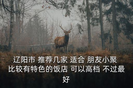 遼陽市 推薦幾家 適合 朋友小聚 比較有特色的飯店 可以高檔 不過最好