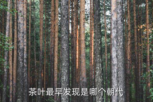 茶葉最早發現是哪個朝代