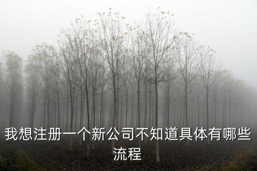 我想注冊一個新公司不知道具體有哪些流程