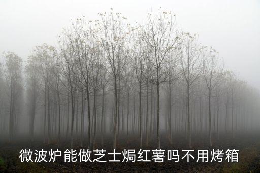 微波爐能做芝士焗紅薯嗎不用烤箱