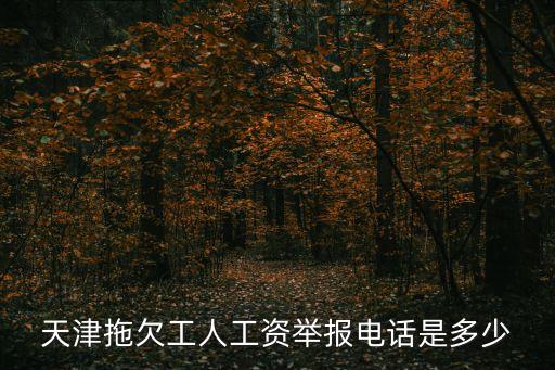 天津市拖欠職工工資，天津拖欠工人工資舉報電話是多少