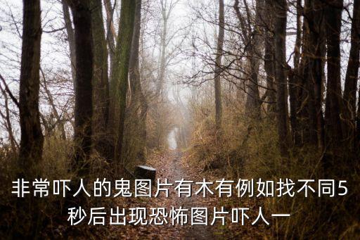非常嚇人的鬼圖片有木有例如找不同5秒后出現(xiàn)恐怖圖片嚇人一