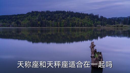 天稱座和天秤座適合在一起嗎