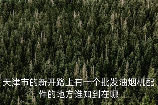 天津市的新開(kāi)路上有一個(gè)批發(fā)油煙機(jī)配件的地方誰(shuí)知到在哪
