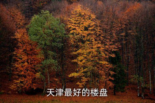 天津最好的樓盤