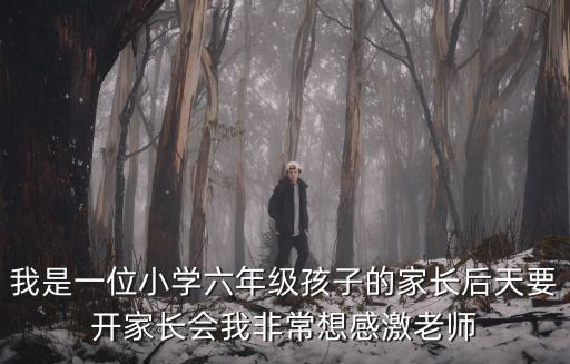 我是一位小學六年級孩子的家長后天要開家長會我非常想感激老師
