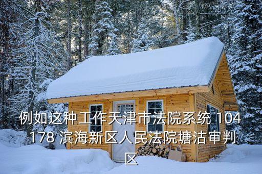 例如這種工作天津市法院系統 104 178 濱海新區人民法院塘沽審判區