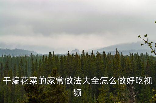 干煸花菜的家常做法大全怎么做好吃視頻