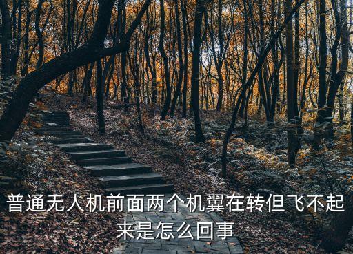 普通無人機(jī)前面兩個(gè)機(jī)翼在轉(zhuǎn)但飛不起來是怎么回事