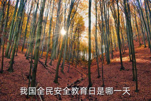 我國全民安全教育日是哪一天