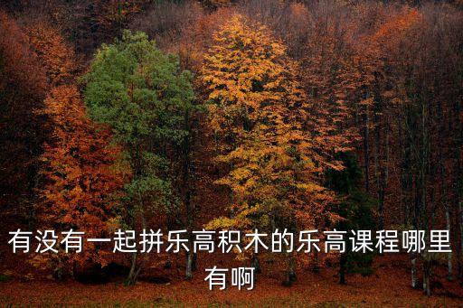 有沒有一起拼樂高積木的樂高課程哪里有啊