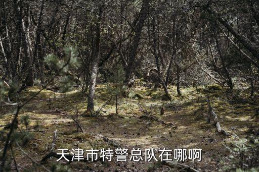 天津市特巡警總隊(duì)，天津有沒(méi)有特警部隊(duì)