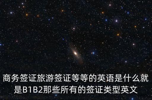 簽證英文，求教護照上面簽證的英語