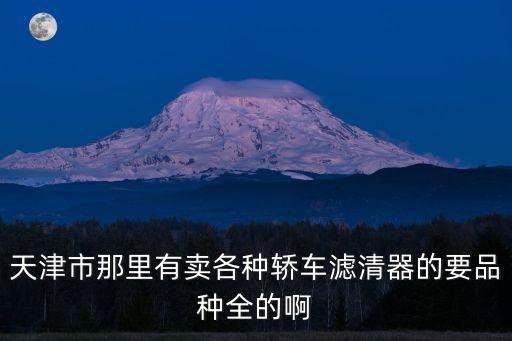 天津市那里有賣各種轎車濾清器的要品種全的啊
