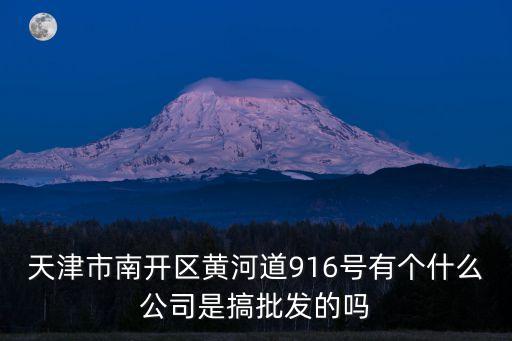 天津市南開區黃河道916號有個什么公司是搞批發的嗎