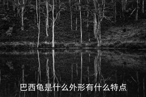 巴西龜是什么外形有什么特點